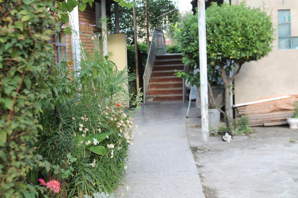 Tlt Guest House Telawi Exterior foto