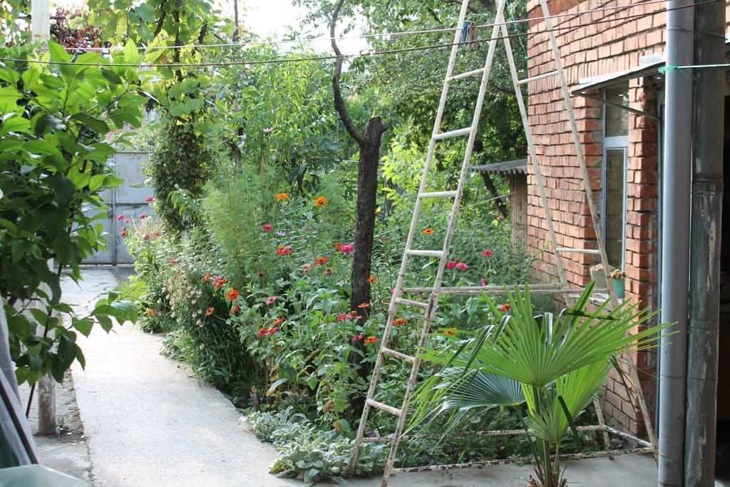 Tlt Guest House Telawi Exterior foto